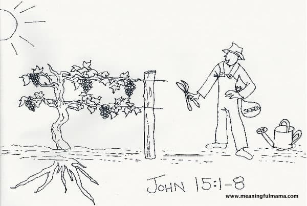 1-vine and branches lesson for kids.33 PM