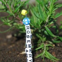 1-#garden markers #diy #signs-068