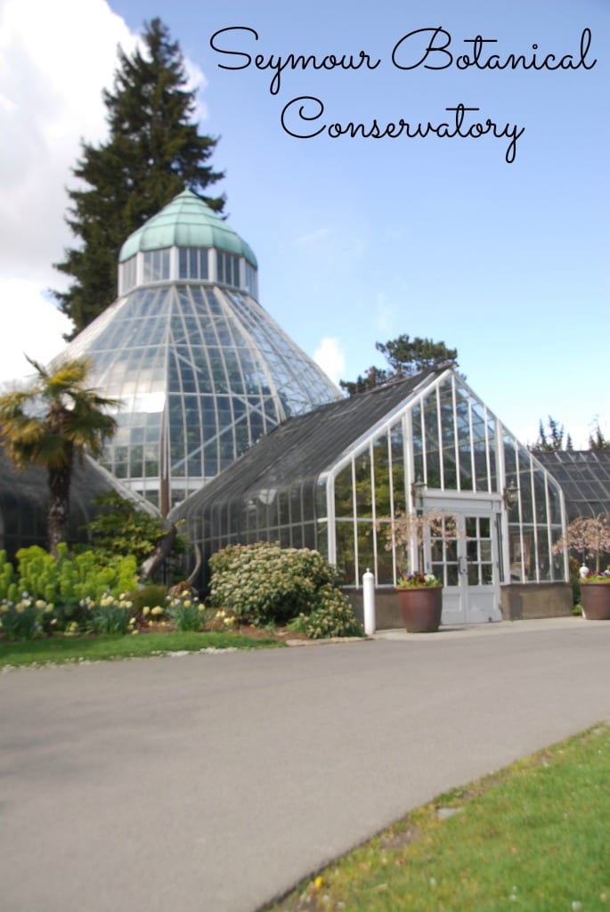 #Seymour Botanical Conservatory #free things #tacoma
